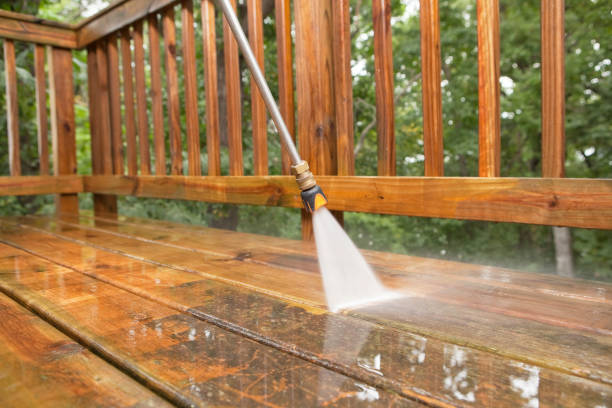 Animal Enclosure Cleaning in Ore City, TX